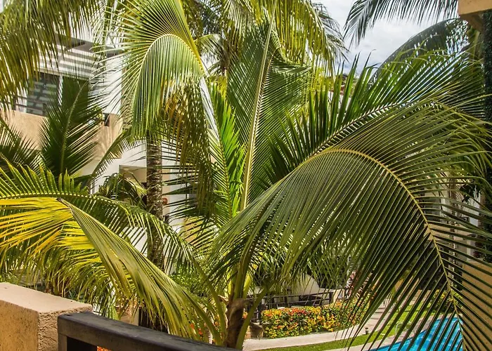Apartamento Creuza De Mae